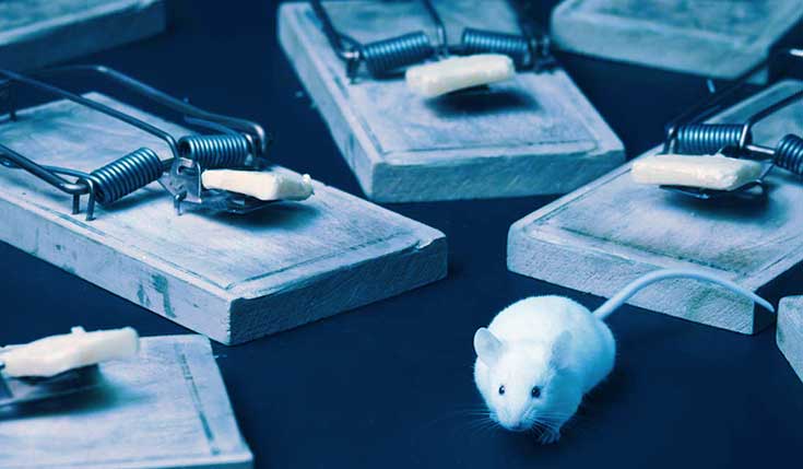 Misleid de hackers op je netwerk, hoe gaat dat in zijn werk